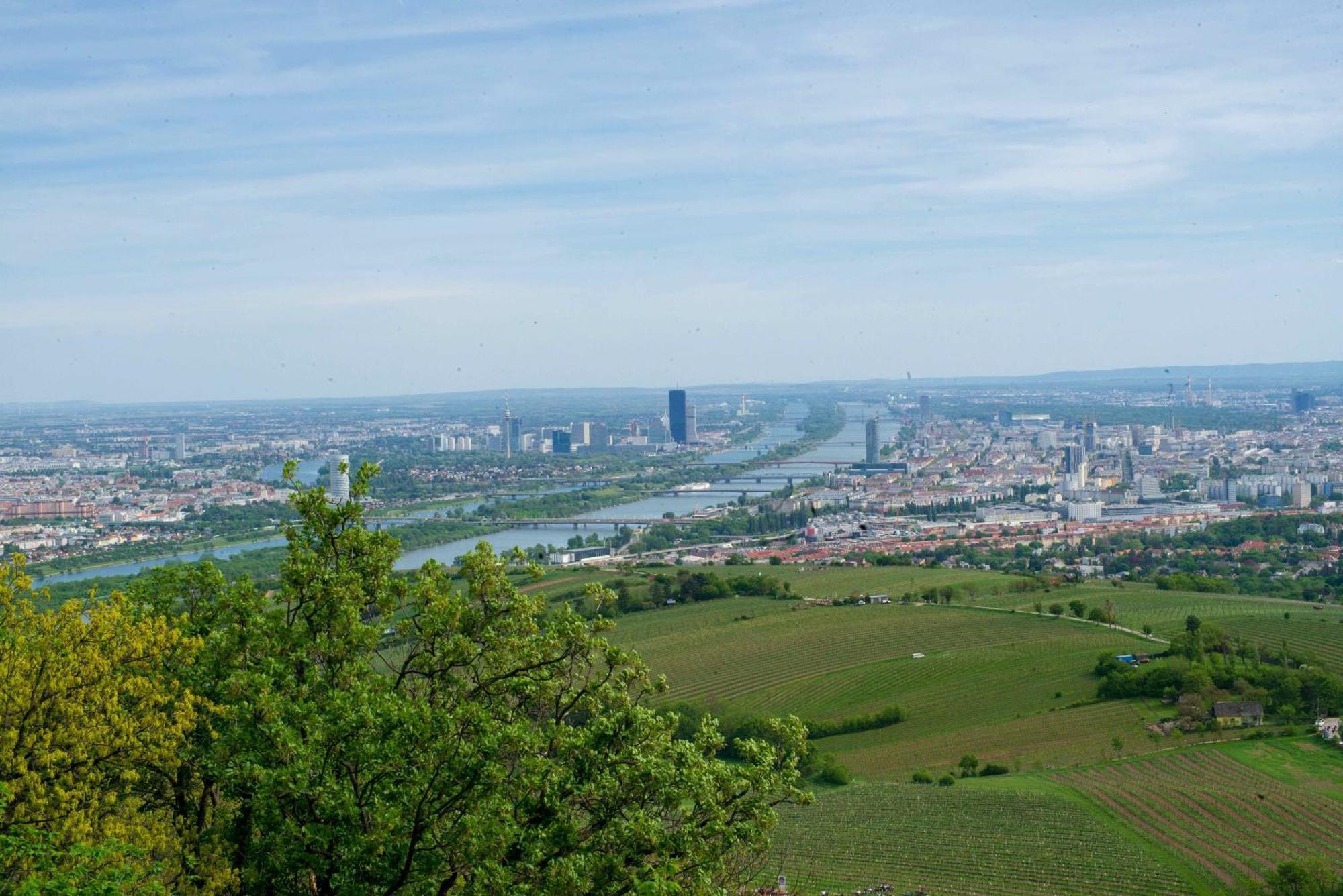 Herrlicher Ausblick Ueber Wien Dış mekan fotoğraf